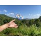 thumbnail image 2 of Disco Volador Waboba Wingman de Silicona Plegable con Acabado Mármol, 2 of 8