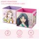 thumbnail image 2 of Cajas de Almacenamiento Idea Nuova Disney Princesas 25x25 cm Set de 2, 2 of 6