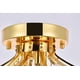 thumbnail image 5 of Lámpara de Techo Elegant Lighting Toureg 30 cm Dorada 3 Luces 110V, 5 of 9