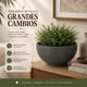 thumbnail image 3 of Macetero Plastico Semi Esfera Premium Diseño a Rayas S negro, 3 of 9