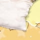 thumbnail image 3 of Anime cartoon cute pomporpurin bed set warm and comfortable kawaii bedding set soft microfiber 3 piece bedclothes for Boys Girls kids twin duvet cover with pillowcases, 3 of 4