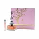 thumbnail image 4 of Spring Deciduous Aurora Scents Edp 100Ml + 9Ml Mujer, 4 of 5