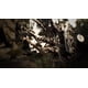thumbnail image 2 of Resident Evil 7 biohazard - Edición Estándar para PlayStation 4, 2 of 9