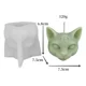 thumbnail image 2 of Molde Silicona Vela Y Jabon Gato De 3 Ojos, 2 of 2
