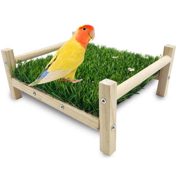 Posadero para aves FlidRunest 23×20 cm Juguete de forraje con hierba