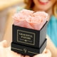 thumbnail image 5 of Flores preservadas Chloe's Graceful Fleurs – 4 rosas de tono melocotón, 5 of 6