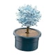 thumbnail image 1 of Novedad Kit De Cultivo De árboles De Cristal Juguete Educativo De Aprendizaje Para Niños Cerulean, 1 of 5