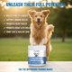 thumbnail image 2 of Suplemento para perros DoggySupps Taurina 113 g para apoyo inmunológico, 2 of 7