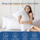 thumbnail image 2 of Almohadas JOLLYVOGUE con relleno 40 % 3D y 60 % 7D, 2 of 3