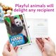 thumbnail image 3 of Paquete de 40 tarjetas postales divertidas con diseño de animales que piensan en ti para niños, 3 of 3