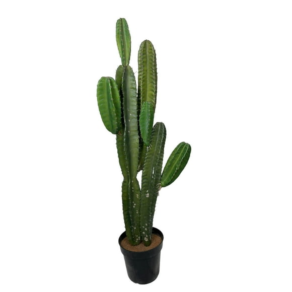 Suculenta Verde Oscuro 110cm Con Detalles Increíbles