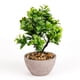 thumbnail image 1 of Planta Artificial Decorativa Bonsai 22cm, 1 of 3