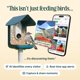 thumbnail image 4 of Comedero para aves Bird Buddy PRO con cámara de 5 MP, IA e ვიდეო 2K, 4 of 9