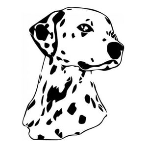 Rienda Libre Graphics - Decomural Dalmatian Head Dog Ws-34683