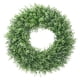 thumbnail image 1 of Verdes Guirnaldas Hojas De Eucalipto Artificial Guirnalda Colgante Blanco Verde, 1 of 5