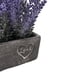 thumbnail image 4 of Planta Artificial Morada Macetero Ceramica Rectangular Gris, 4 of 7