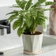 thumbnail image 3 of Macetas de plástico surtidas para plantas de flores, macetas para viveros con bandeja, plantas de interior y exterior, 3 of 5