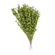thumbnail image 2 of Falsa Baya Tallos Decoración Simulación Flor Plantas Guirnalda Fiesta Verde, 2 of 5