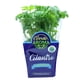 thumbnail image 1 of Cilantro Orgánico, 1 Un, 1 of 1
