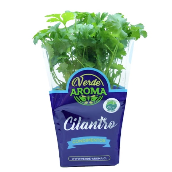 Cilantro Orgánico, 1 Un