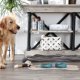 thumbnail image 4 of Set de cena, bebidas y postres Pet Collection Bone Dry Small, 4 of 8