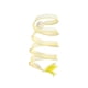 thumbnail image 4 of Cat Tunnel Toy Plegable Pequeños Animales Capacitación Cama Ocultar Juguete Interactivo Amarillo, 4 of 5