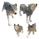thumbnail image 4 of Modelo De Animal Lobo De Vida Salvaje, Figuras De Acción De 3 A 8 A?os, Regalo Educativo Para Ni?os, 4 of 5