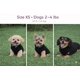 thumbnail image 2 of Suéter para perros, chaleco polar JACKO & CO, suave y cálido para perros pequeños, 2 of 8