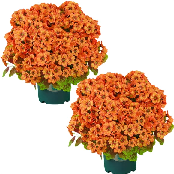 Planta Artificial QIANYUN 51 cm Resistente a los Rayos UV para Exterior