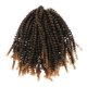 thumbnail image 3 of Hair Twist 8 Pulgadas Crochet Colors Spring Twist Trenzas 30 Hebras Estilo 2, 3 of 5