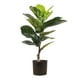 thumbnail image 1 of Planta Artificial Ficus Lyrata Mini 15 Hojas 60 Cm, 1 of 3