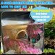 thumbnail image 5 of Cueva Flotante Betta Hide sicutoz 6,8 × 6,8 × 3,5 cm PLA, 5 of 9
