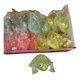 thumbnail image 3 of Squishy de Rana de Silcona Pack de 12 Unidades, 3 of 3