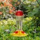 thumbnail image 1 of Comedero para colibríes Shrdaepe, botella de vidrio, 300 ml, 5 puertos, 1 of 7