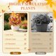 thumbnail image 4 of Flores artificiales SHareconn 51 cm resistentes a UV – Pack de 4, 4 of 8