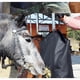 thumbnail image 3 of Tote De Heno Bolsa Colgante De Cabra Alimentador Tote Premium Oxford Tela Con Anillo De Metal Y Correa Ajustable Para Caballos Burros Vacas Alpacas Avestruzas U Otros Animales Negro, 3 of 3