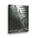 thumbnail image 1 of Canvas Bosque Bn2 70x50cms, 1 of 1