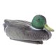 thumbnail image 2 of Pato Mallard Plástico Se?uelo Flotante Drake Duck Se?uelo Para Caza Y Pesca # 1, 2 of 3