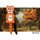 thumbnail image 4 of Reloj de pared Kit-Cat Klock Orange Harvest de 39 cm, 4 of 4
