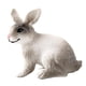 thumbnail image 3 of Figura De Conejo Realista Zoológico Modelo De Animales De Granja Juguetes De Ense?anza Decoración De Mesa Gris Blanco En Cuclillas, 3 of 5