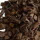 thumbnail image 3 of Chip de Coco para Orquídeas Anturios y Cultivos Exóticos, 3 of 4