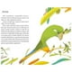 thumbnail image 2 of Colas de colibrí blanco, 2 of 3