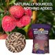 thumbnail image 2 of Pellets de Ahumado QUBE BBQ Lichi 0,9 kg Madera Natural, 2 of 8