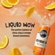 thumbnail image 5 of Remedio Líquido Para Bebidas Kombucha Orange Splash Lata De 250 Ml Paquete De 24, 5 of 7