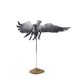 thumbnail image 3 of Figura de acción McFarlane Toys Harry Potter Buckbeak Deluxe, 3 of 9