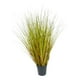 thumbnail image 1 of Planta Decorativa Pasto con Caida Verde Café 72 cm, 1 of 3