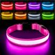 thumbnail image 1 of Collar para perro PcEoTllar L rosa iluminado y recargable, 1 of 7