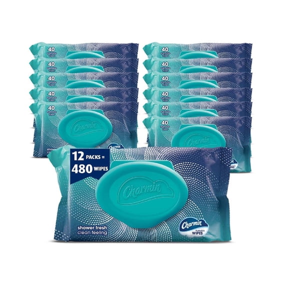 Toallitas desechables Charmin 480 en total (12 paquetes de 40)
