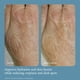 thumbnail image 3 of Crema de manos philosophy Fresh Cream 118 ml, 3 of 6