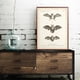 thumbnail image 4 of 1pc Antique Bat Animal Wall Art Canvas Painting for Living Room Home Decoration - Vintage Bat Print Poster with No Frame, 4 of 4